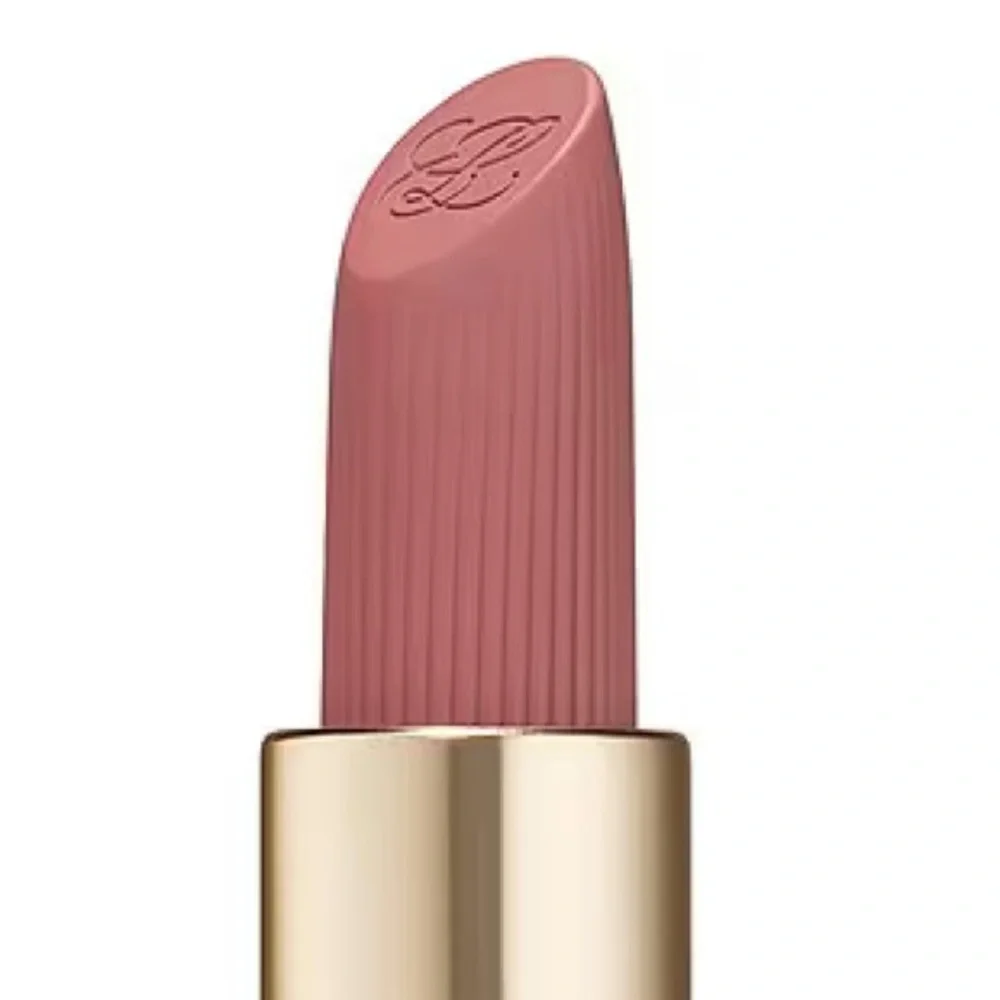 Estee Lauder ‘Influential’ Pure Color Matte Lipstick